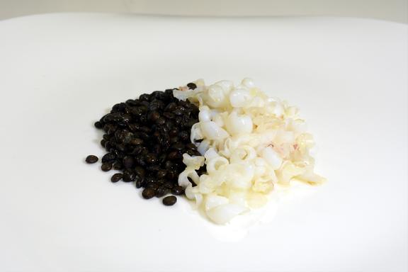 tapa